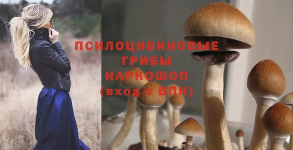 твердый Алзамай