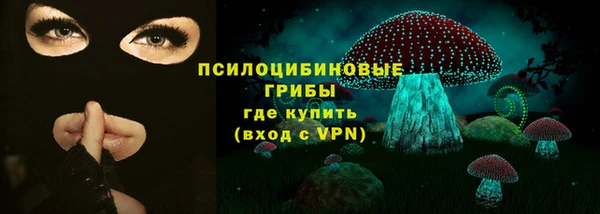 твердый Алзамай