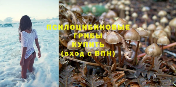 прущий лед Алексин