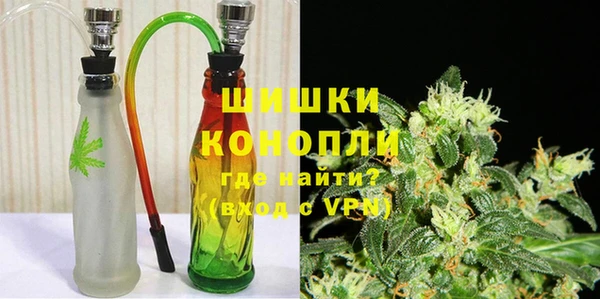 ПСИЛОЦИБИНОВЫЕ ГРИБЫ Абаза