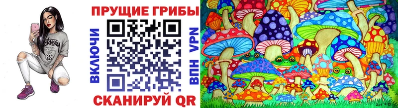 где купить Алатырь Галлюциногенные грибы MAGIC MUSHROOMS